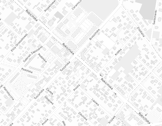 Mapa z adresem organizacji