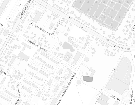 Mapa z adresem organizacji