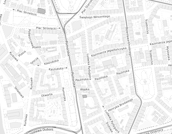 Mapa z adresem organizacji