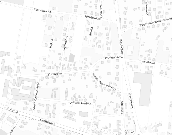 Mapa z adresem organizacji