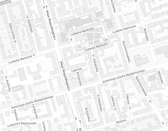 Mapa z adresem organizacji