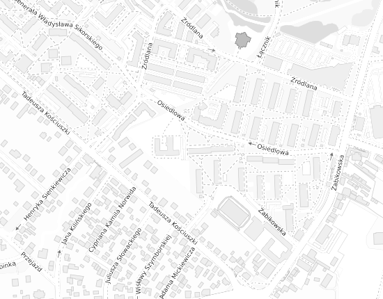 Mapa z adresem organizacji