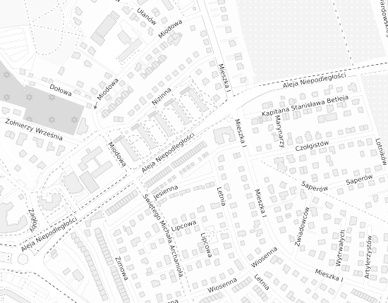 Mapa z adresem organizacji
