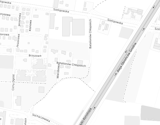 Mapa z adresem organizacji