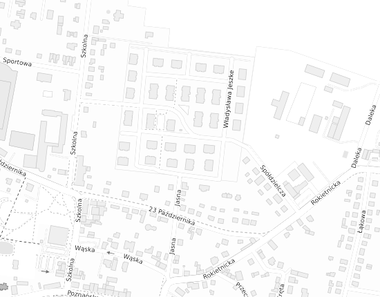 Mapa z adresem organizacji