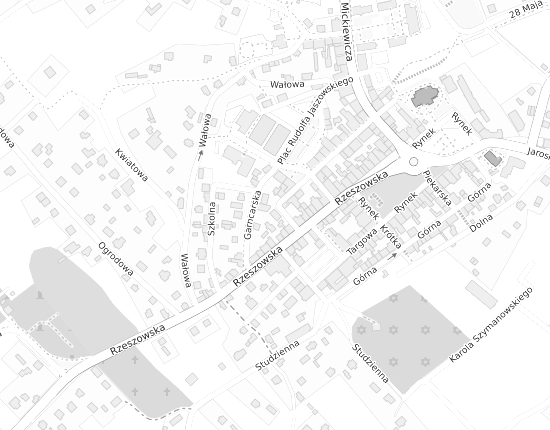 Mapa z adresem organizacji