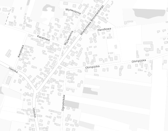 Mapa z adresem organizacji