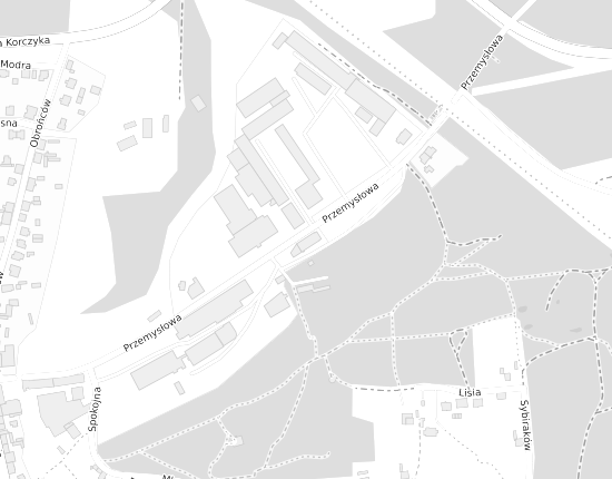 Mapa z adresem organizacji