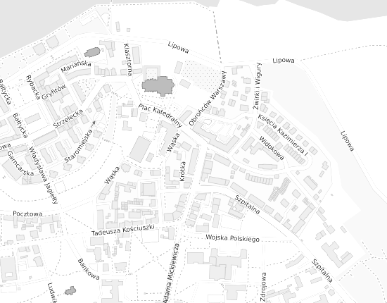 Mapa z adresem organizacji