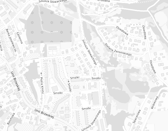 Mapa z adresem organizacji