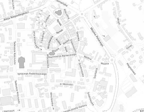 Mapa z adresem organizacji