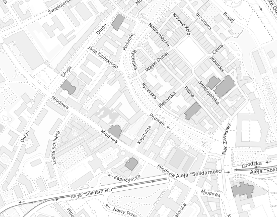 Mapa z adresem organizacji