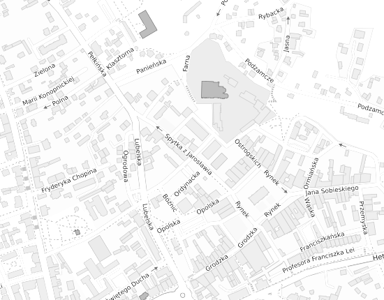 Mapa z adresem organizacji
