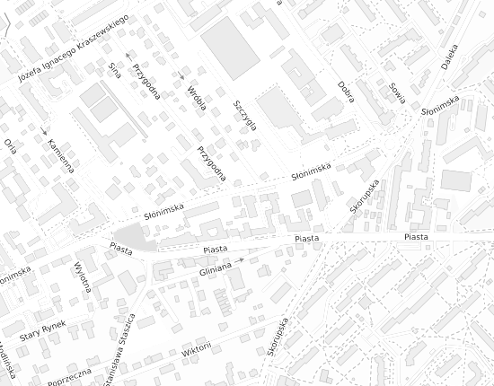 Mapa z adresem organizacji