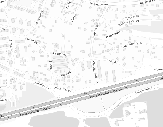 Mapa z adresem organizacji