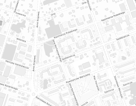 Mapa z adresem organizacji