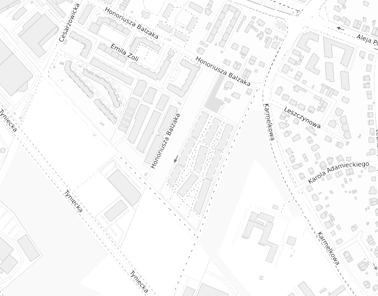 Mapa z adresem organizacji
