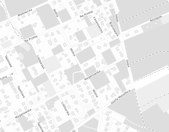 Mapa z adresem organizacji