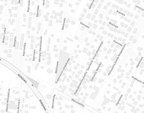 Mapa z adresem organizacji