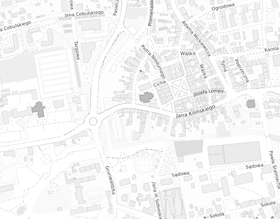Mapa z adresem organizacji