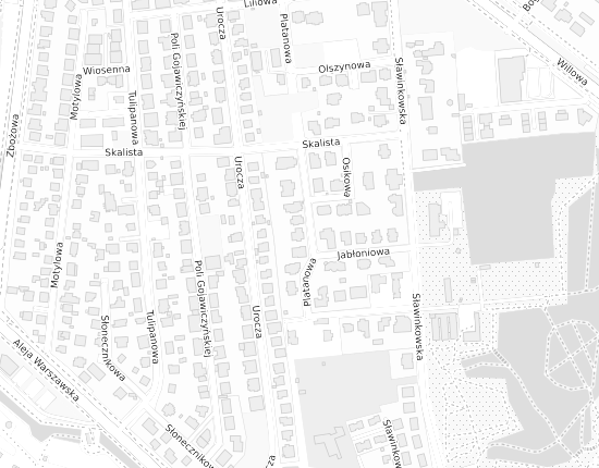 Mapa z adresem organizacji