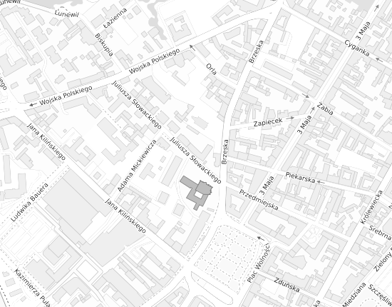 Mapa z adresem organizacji