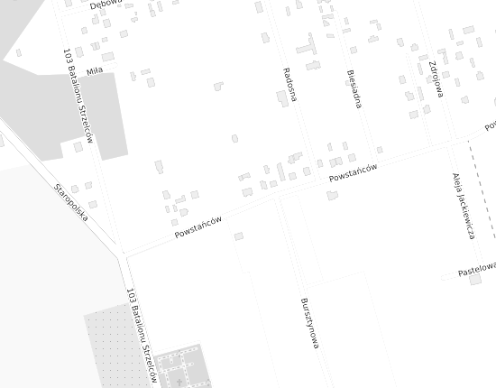 Mapa z adresem organizacji