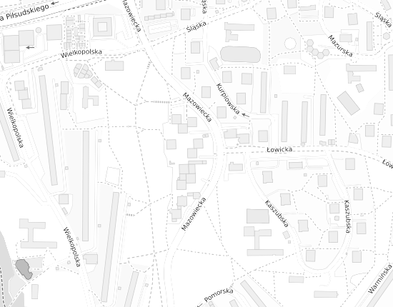 Mapa z adresem organizacji
