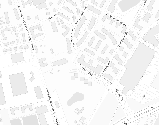 Mapa z adresem organizacji