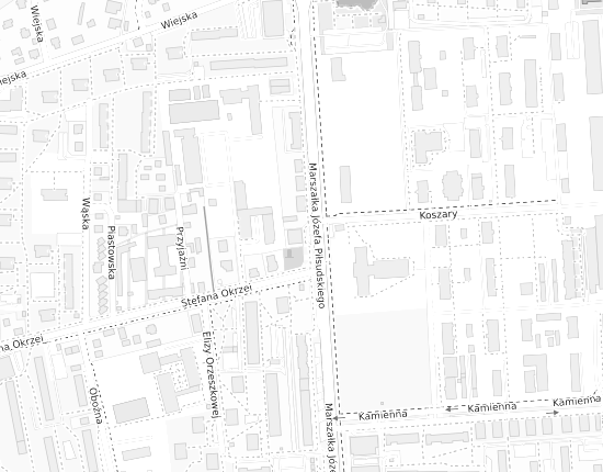 Mapa z adresem organizacji