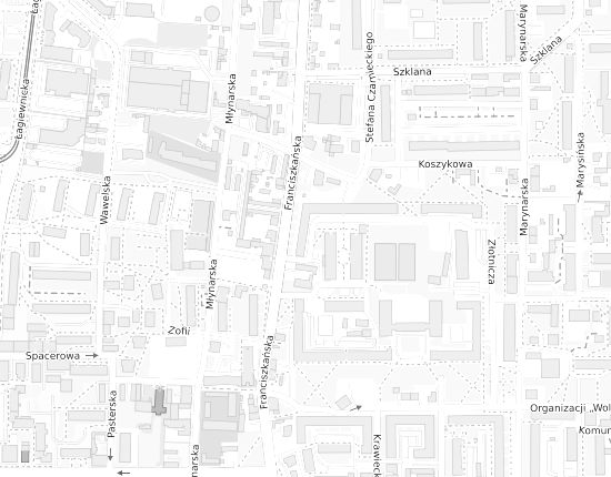 Mapa z adresem organizacji