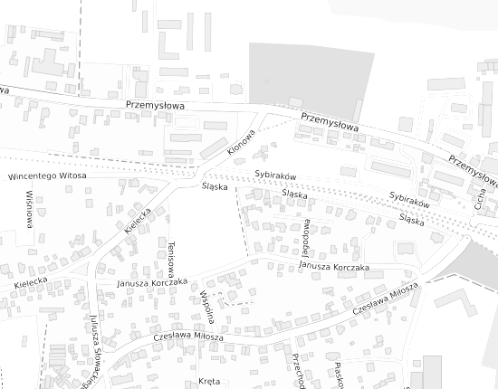 Mapa z adresem organizacji