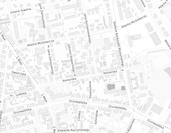Mapa z adresem organizacji