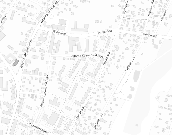 Mapa z adresem organizacji