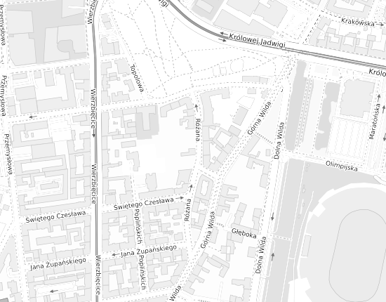 Mapa z adresem organizacji