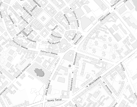 Mapa z adresem organizacji