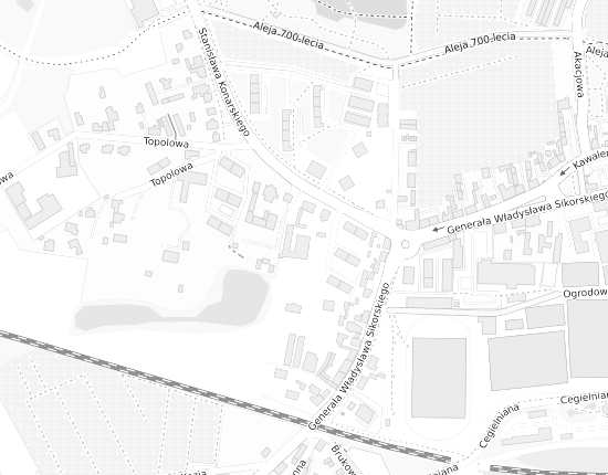 Mapa z adresem organizacji
