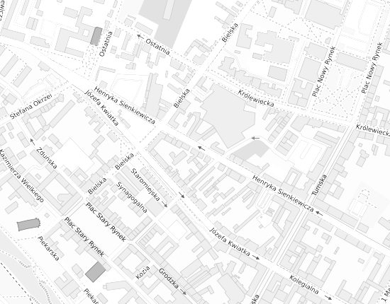 Mapa z adresem organizacji