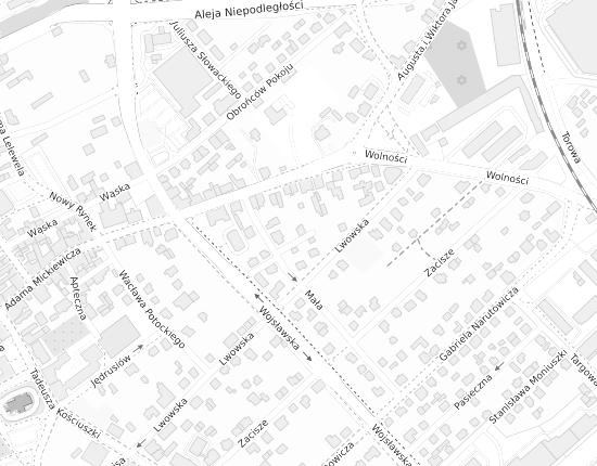 Mapa z adresem organizacji