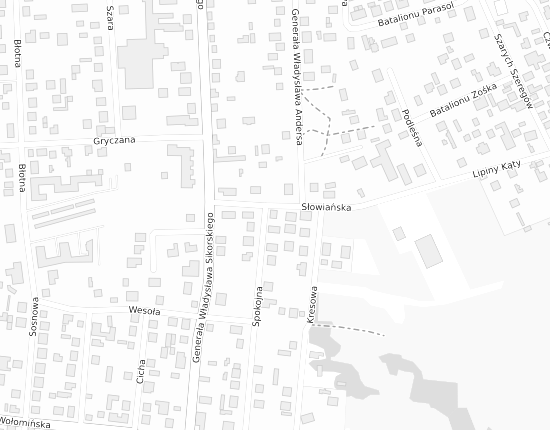 Mapa z adresem organizacji