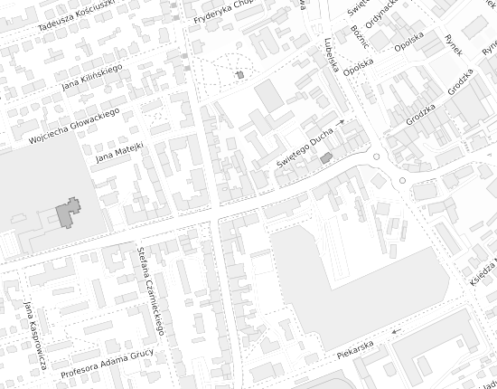 Mapa z adresem organizacji