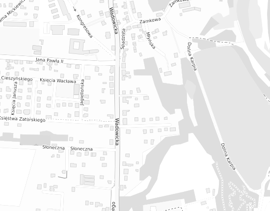 Mapa z adresem organizacji