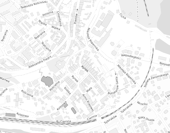 Mapa z adresem organizacji
