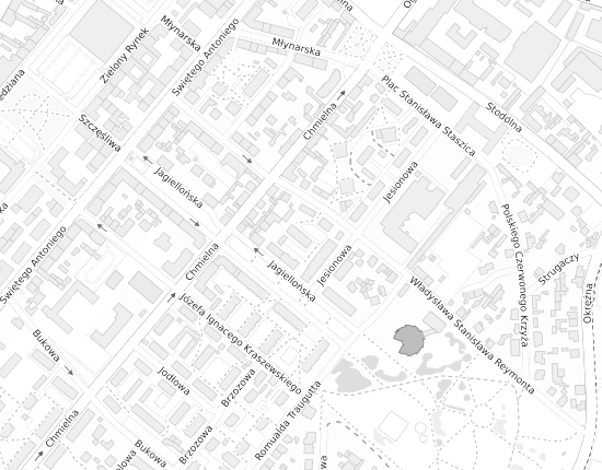 Mapa z adresem organizacji