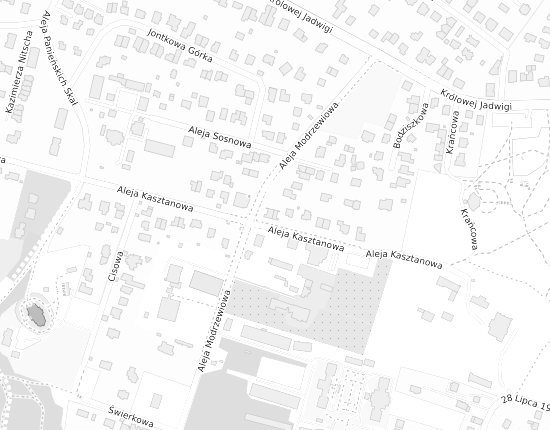 Mapa z adresem organizacji