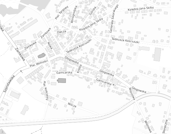 Mapa z adresem organizacji
