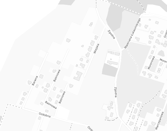 Mapa z adresem organizacji