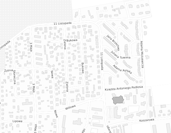 Mapa z adresem organizacji