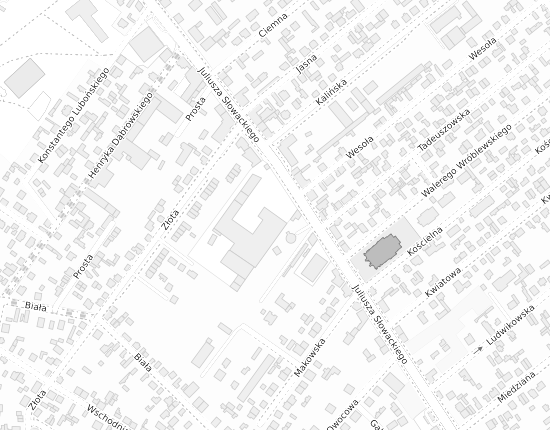 Mapa z adresem organizacji