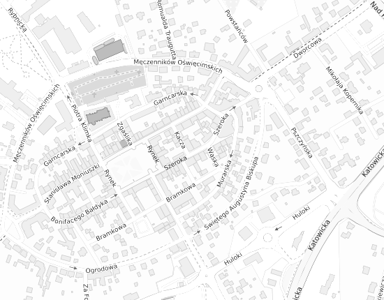 Mapa z adresem organizacji